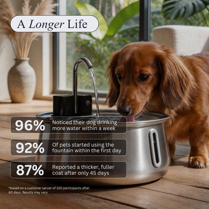 Origins™ Filtered Pet Fountain - Good Origins