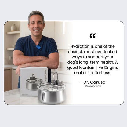 Origins™ Filtered Pet Fountain - Good Origins