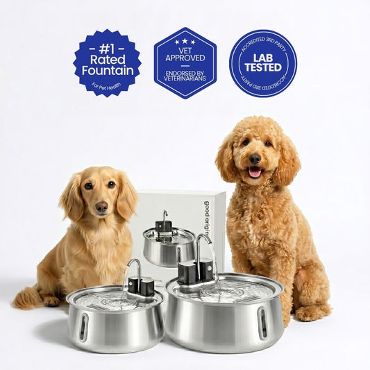 Origins™ Filtered Pet Fountain - Good Origins