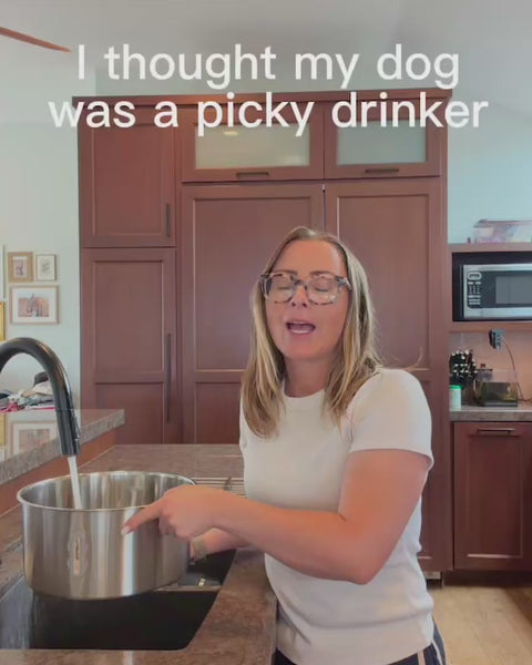 I Thought He Was a Picky Drinker!